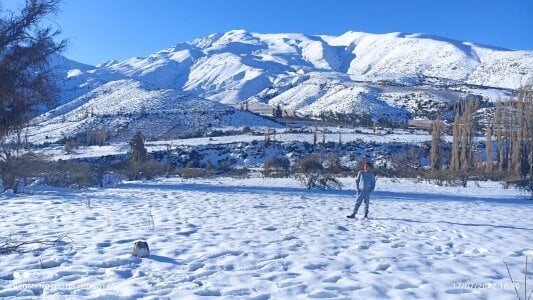 andrebon201Public图片 2