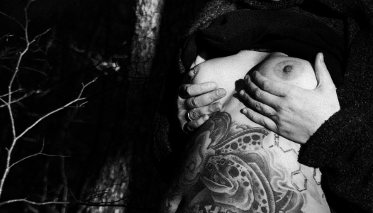 Moray_Eel Forest Pic 2