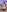YUSELFI_ROSS_ SWEET CURVY🧁 Pic 2