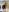 sneha_babe You will Love to Have a Private Like this 🥰 Photo 3