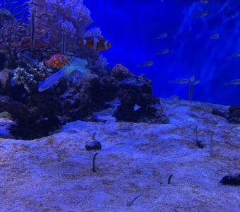 arisu-chan Public Pic 3