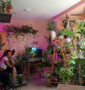 Ebony_SkyePublic图片 8