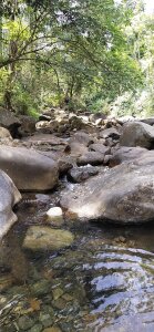 Nidhinchirackal Public Pic 4