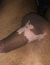 vamos1255 Pero Pic 2