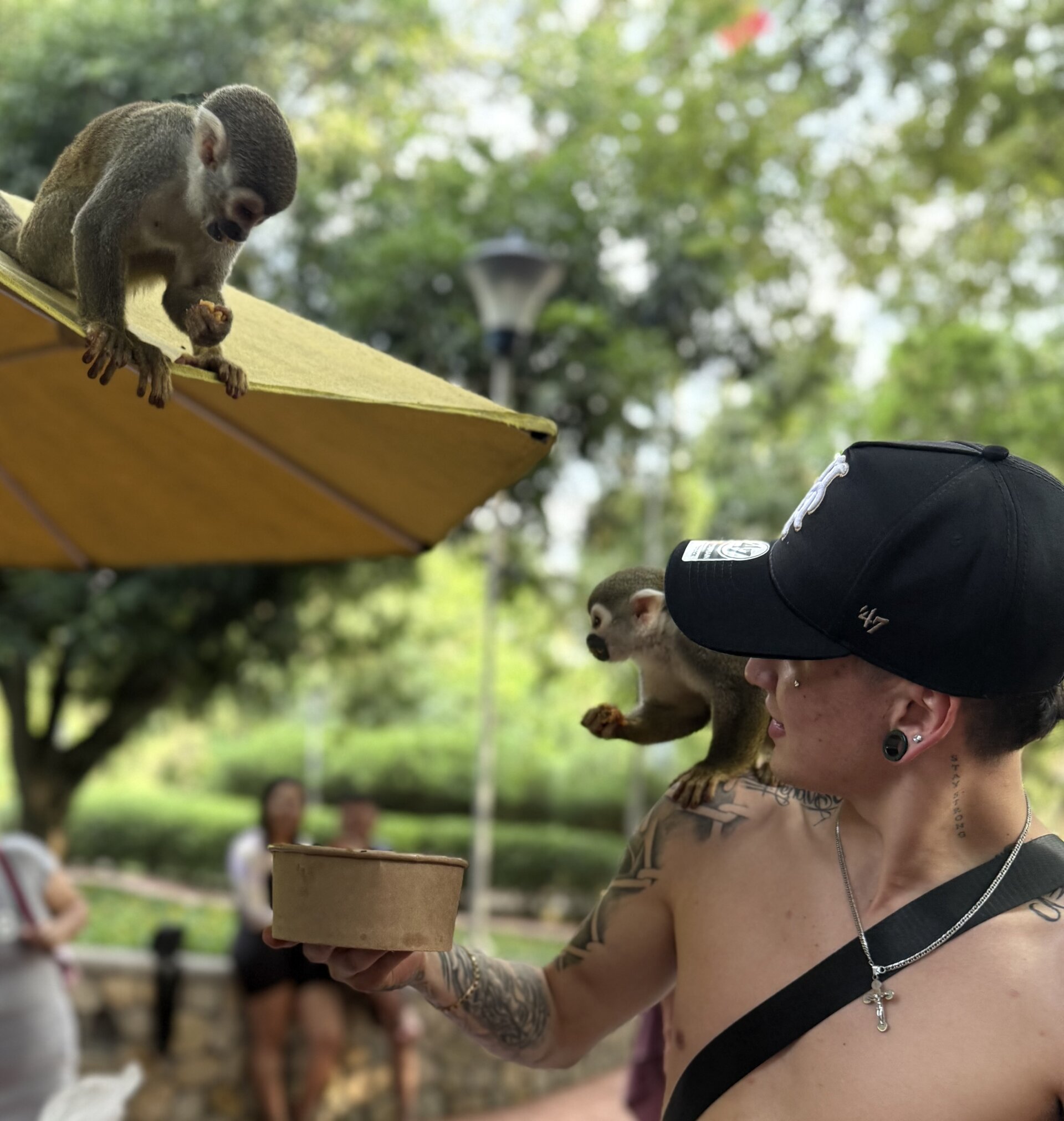 RiderVance Public صورة واحدة|RiderVance Public صورتان|RiderVance Public  3 صور|RiderVance Public  3 صورة