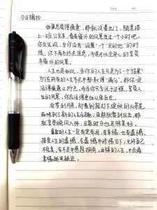 MilkSugar-TPublic图片