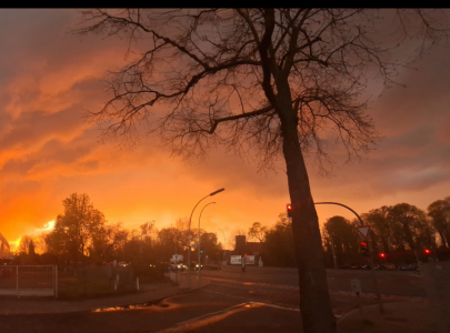 Audrey_Aura beauty that catches you Hình