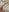 KairaKampen Good Morning Nudes 🥰 Pic 2