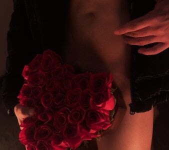 jhosepMoreno Flowers for you today. 🌹🌹🌹 slika 3