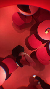 angelesss99のbesitossの 2枚の写真