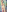 MelodyLoveClubFantasy world (2024)照片 2