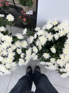 momo_room🍑のすきなもの!照片 6