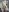 LostDawnTopless照片 5