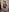 LuxMelys sex Pic