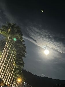 annita_joneswc Public Poză 5