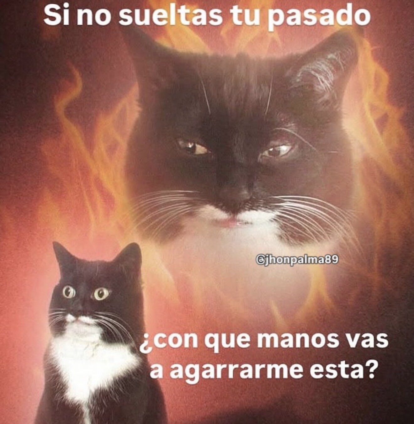 Eva_Macalliter Memesxx صورة واحدة|Eva_Macalliter Memesxx صورتان|Eva_Macalliter Memesxx  صور|Eva_Macalliter Memesxx  صورة
