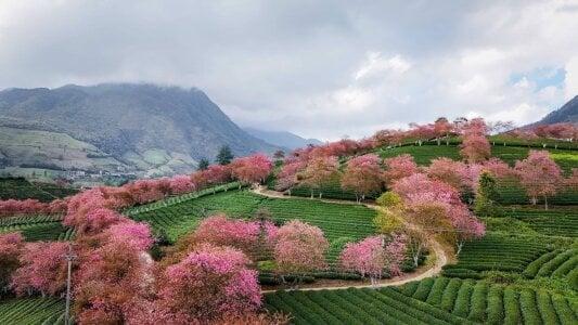 Eva_Meo Do you want to go with me? It's really beautiful. Fotka 4