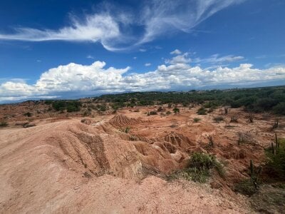 Daisuke_01 Public Εικόνα 5