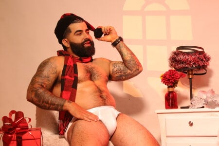 Lyon_vach Christmas leon Gambar 7