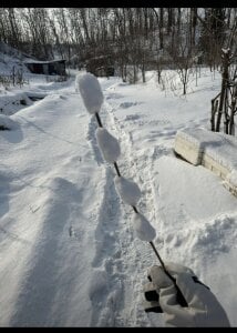 Public od Bella-ox  7 snímek