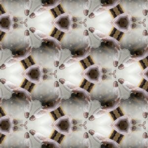 Bunny-without-panties mirrorlab Pic 6