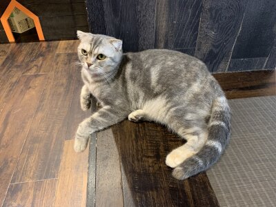 YARASERO-kun 思い出 Foto  4