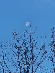 Nikki-awesome Public Pic 5