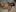 dirtyjessyBondage Titten照片 2