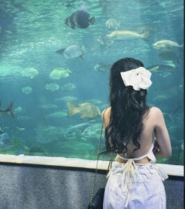 NewMoon2x Public Εικόνα 2