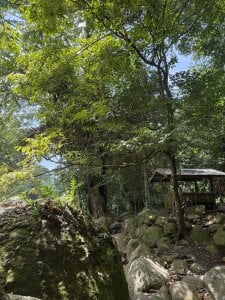 nature knows best🌱˚⊹ de TS-SimplyTheBest  6 Imagens