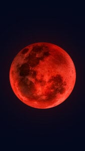 ColBoyGay Public Kuva 4