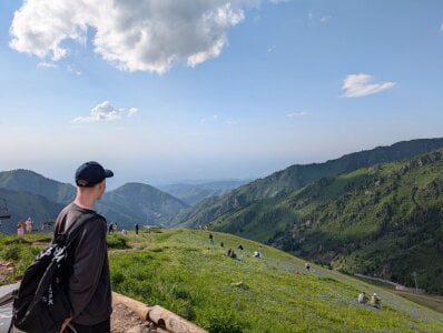 arlekincrop Public Pic 2