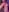 Ayeshaa__25 Holi nudes Photo 7