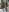 Juanita_OsborneWalking照片