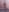 suesinner 1 finger 2 fingers x Pic 2