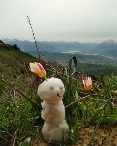 Public od Hirurg_97  5 snímek