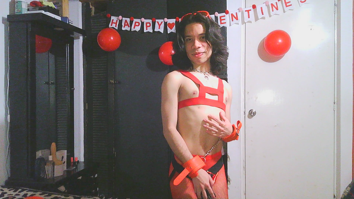 Morningstar_Andy Poză populară 7918