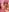 ClaireAmber 🍨🍨🤭 Pic 4