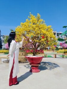 Jin_Yourlover New Year Wishes All Peace 사진