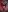 sayumi_dirtyworship your goddess照片 5