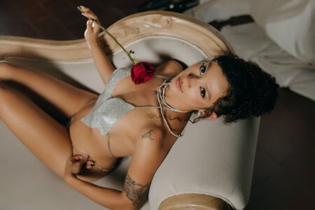 brianathompson ROSES, LINGERIE AND DIAMONDS Billede 2