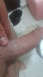 Public de Pepesan35  Imagens