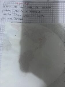 topmodel-laura Public Kuva 4