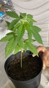 Erick_Velveth Algo de las vacaciones Foto 7