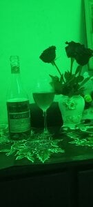 Xavier568780 H รูป  4