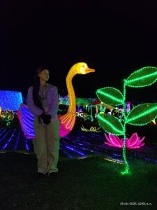 Sofi_cutiee I went to see lights and I want to share it with you 🌸🌲 Εικόνα 2