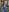 missaniのMeの 3枚の写真