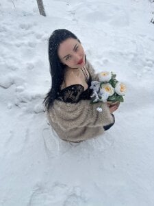 MoonVelourFlowers in the Snow图片