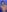 DianaHopsonFull naked照片 4