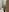 Samantha_Claus: Spy in my shower👀🥵 ( фото)